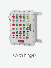 HLDP07-Series Explosion-proof Electrical Apparatus(Control Box)
